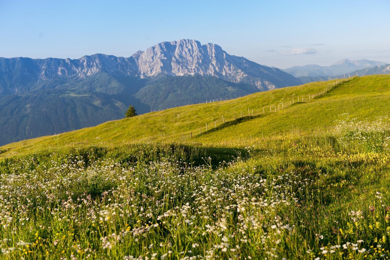 Sattleggers Alpenhof & Feriensternwarte Hotell Greifenburg Exteriör bild