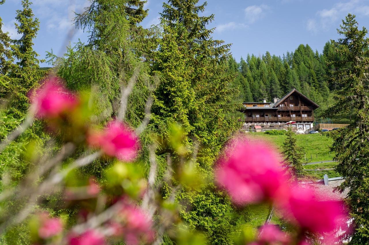 Sattleggers Alpenhof & Feriensternwarte Hotell Greifenburg Exteriör bild